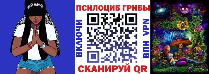 Купить  Стрежевой  Псилоцибиновые грибы прущие грибы 